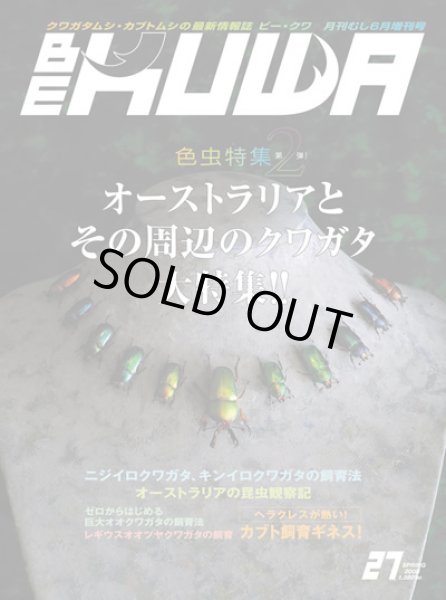 画像1: BE-KUWA27号（オーストラリアとその周辺のクワガタ大特集） (1)
