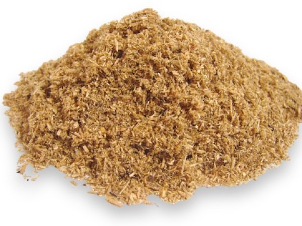 画像3: オオクワガタ産卵促進マット 5L（クワガタ・カブトムシ成虫用マット） (3)