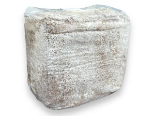 菌糸ビン・菌床販売 九十九里クワガタファーム