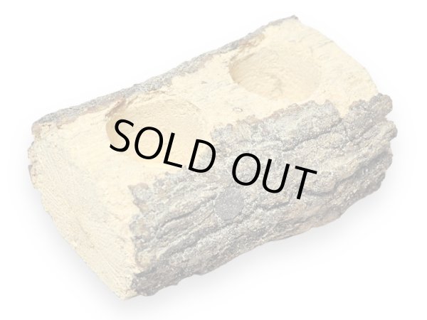 画像1: 朽木・エサ皿16g（かまぼこ型二穴） (1)