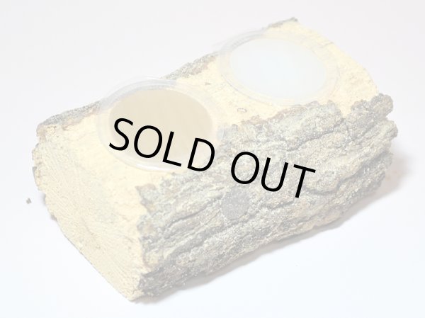 画像2: 朽木・エサ皿16g（かまぼこ型二穴） (2)