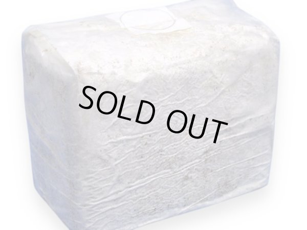 画像1: 【KBファーム直送】ブナ微粒子3500菌糸ブロック（メーカー直送のため同梱不可）全国一律送料無料 (1)