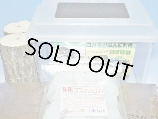 クワガタ、カブトムシセット商品販売 九十九里クワガタファーム