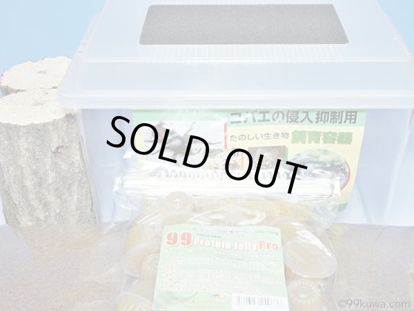 画像2: オオクワガタ産卵採卵セット（単品配送のため同梱不可） (2)