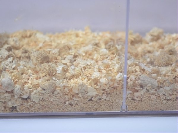 画像3: 高圧縮・昆虫ペレット6L クワガタ・カブトムシ成虫管理用マット (3)