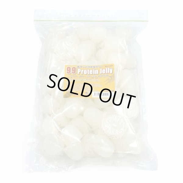 99プロテインゼリー 16g （白）50個
