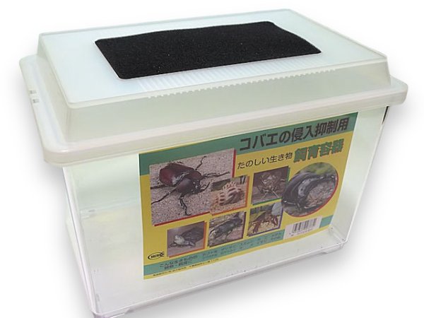 画像3: コバエ防止飼育ケース（中）　（単品配送のため同梱不可） (3)